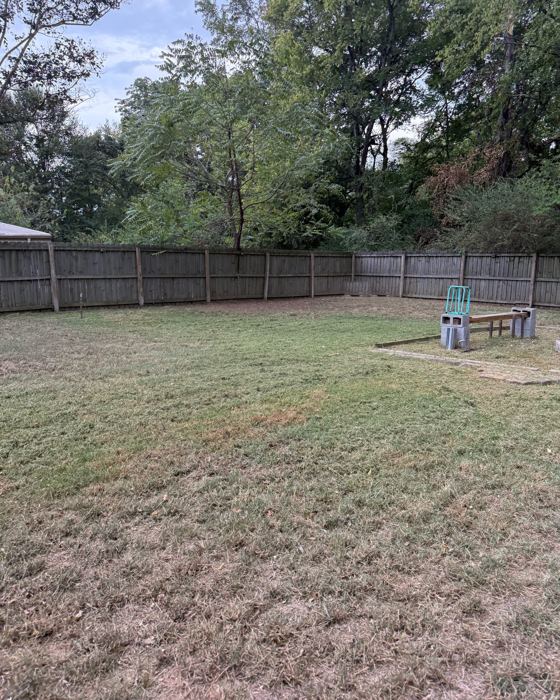 After: Backyard: leaves cleared, lawn cut