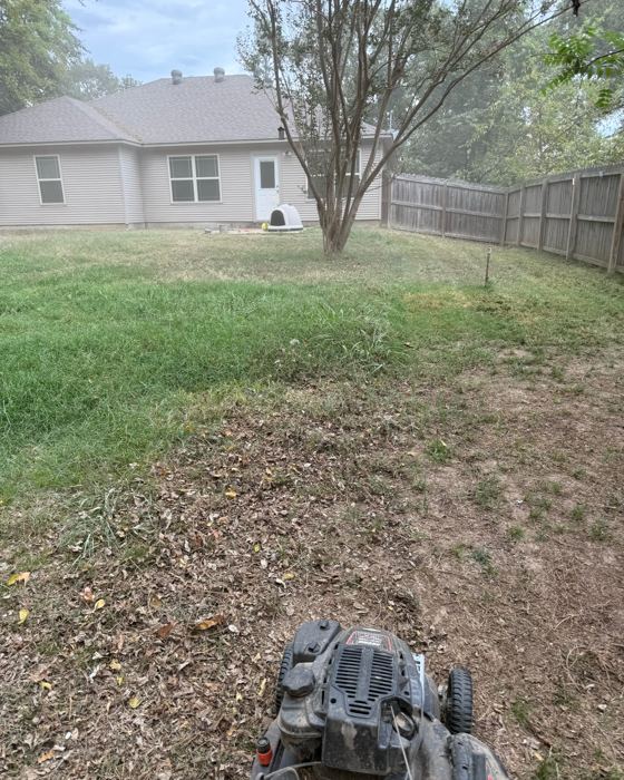 Before: Backyard: leaves cleared, lawn cut