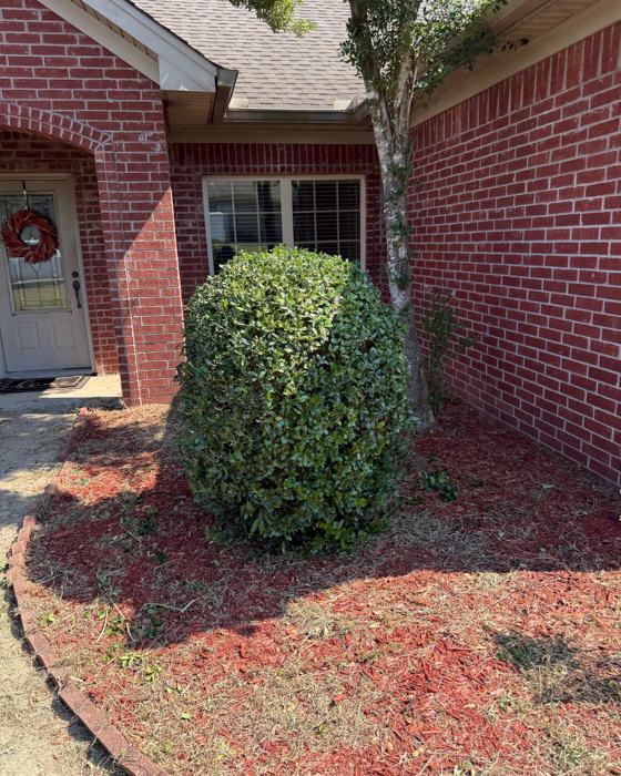 After: Round shrub shaped