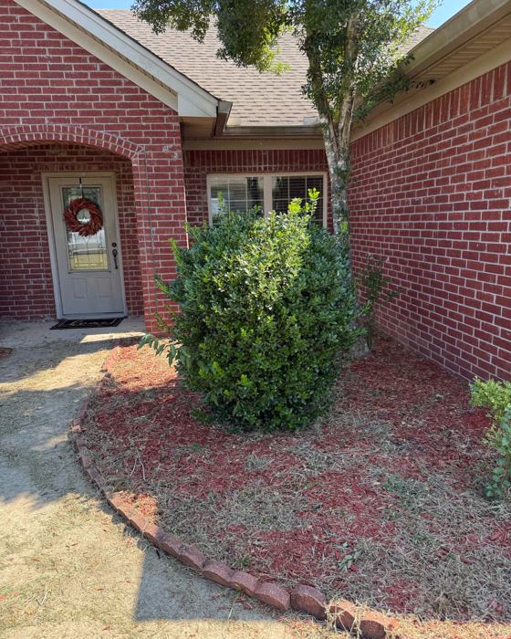 Before: Round shrub shaped
