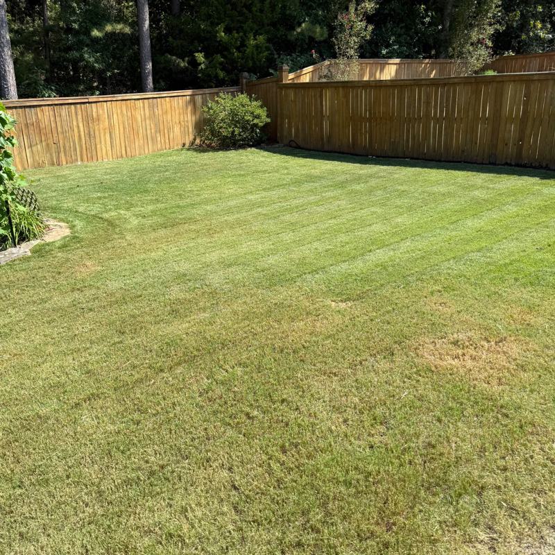 Recent lawn and landscape work in Saline County, AR