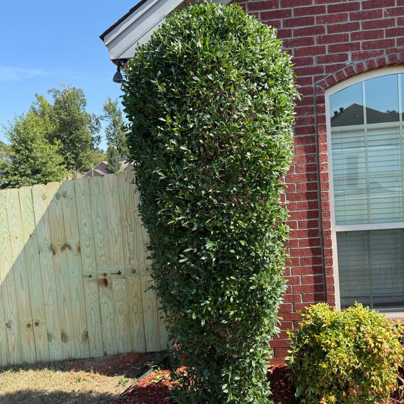 Recent lawn and landscape work in Saline County, AR
